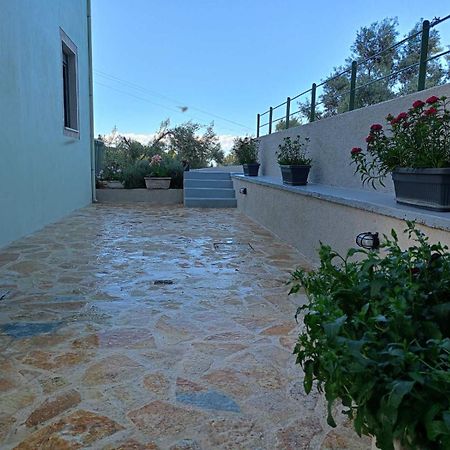 Armonia Villa Lefkada Kariotai Bagian luar foto