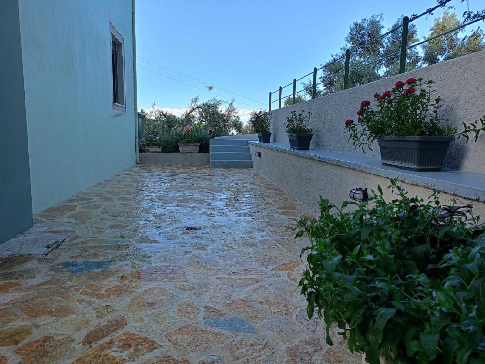 Armonia Villa Lefkada Kariotai Bagian luar foto